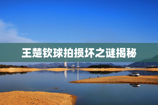 王楚钦球拍损坏之谜揭秘