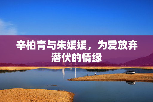 辛柏青与朱媛媛，为爱放弃潜伏的情缘