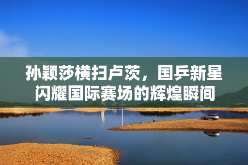 孙颖莎横扫卢茨，国乒新星闪耀国际赛场的辉煌瞬间