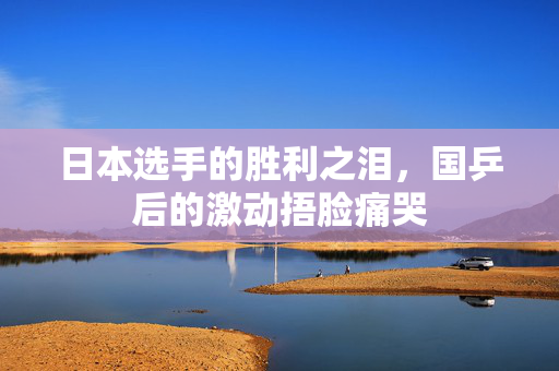 日本选手的胜利之泪，国乒后的激动捂脸痛哭
