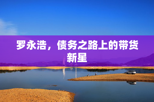 罗永浩，债务之路上的带货新星