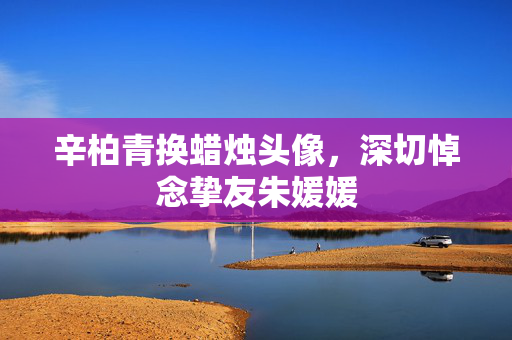 辛柏青换蜡烛头像，深切悼念挚友朱媛媛