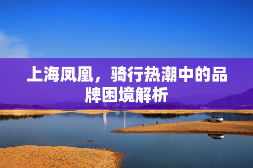 上海凤凰，骑行热潮中的品牌困境解析