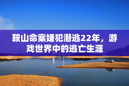 鞍山命案嫌犯潜逃22年，游戏世界中的逃亡生涯