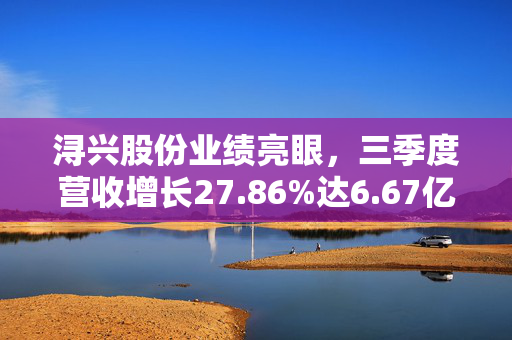 浔兴股份业绩亮眼，三季度营收增长27.86%达6.67亿元