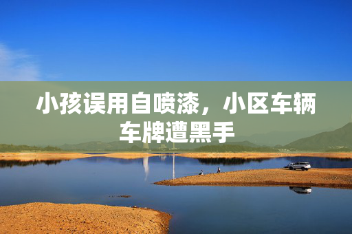 小孩误用自喷漆，小区车辆车牌遭黑手