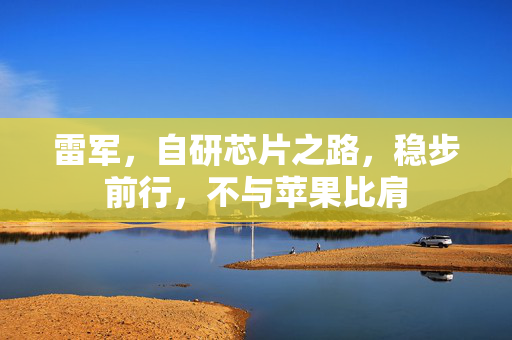 雷军，自研芯片之路，稳步前行，不与苹果比肩