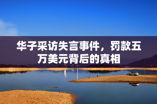 华子采访失言事件，罚款五万美元背后的真相