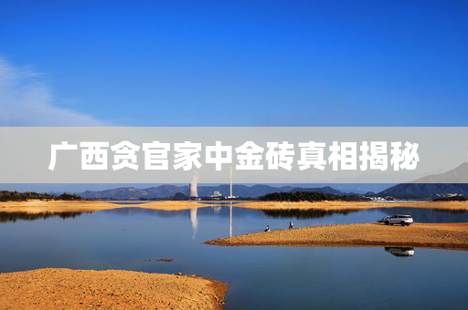 广西贪官家中金砖真相揭秘