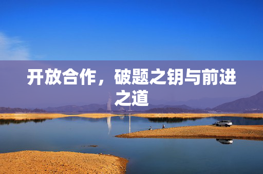 开放合作，破题之钥与前进之道