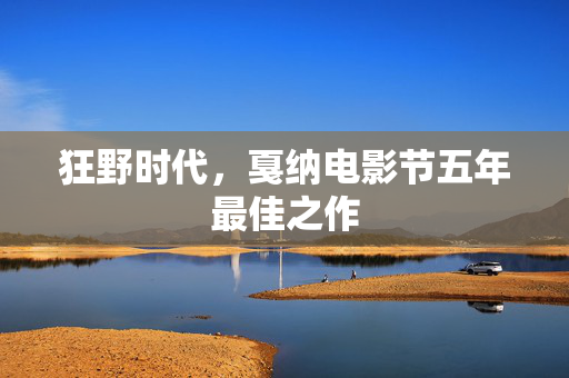 狂野时代，戛纳电影节五年最佳之作