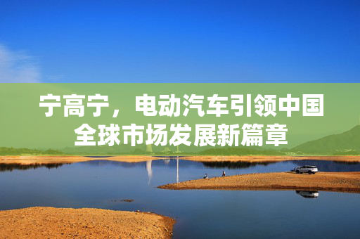 宁高宁，电动汽车引领中国全球市场发展新篇章