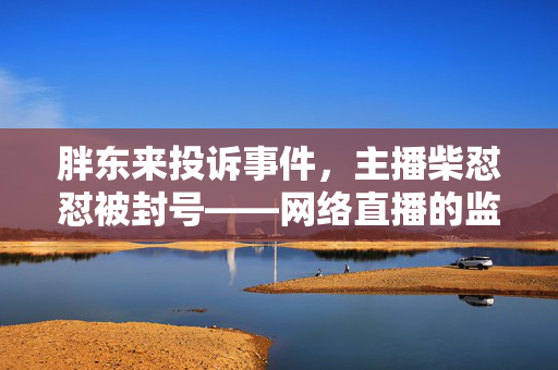 胖东来投诉事件，主播柴怼怼被封号——网络直播的监管与责任