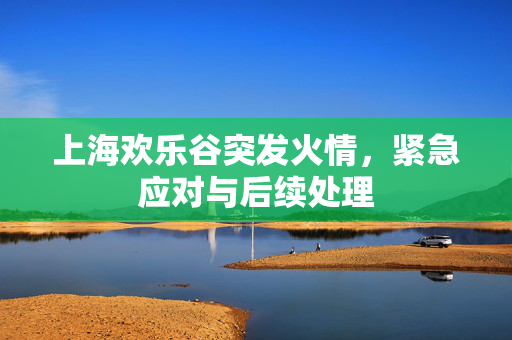 上海欢乐谷突发火情，紧急应对与后续处理