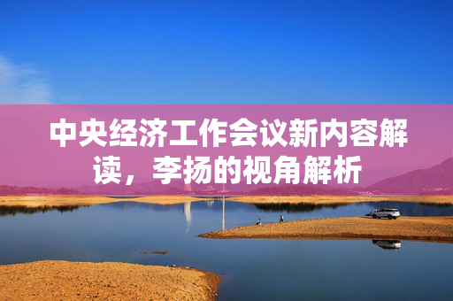 中央经济工作会议新内容解读，李扬的视角解析
