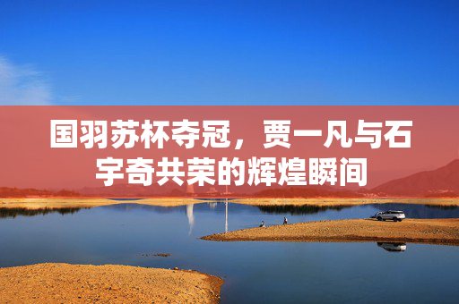 国羽苏杯夺冠，贾一凡与石宇奇共荣的辉煌瞬间