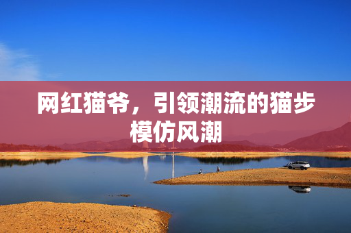 网红猫爷，引领潮流的猫步模仿风潮