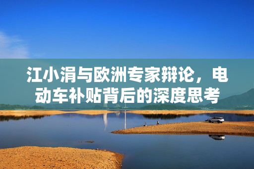 江小涓与欧洲专家辩论，电动车补贴背后的深度思考