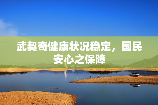 武契奇健康状况稳定，国民安心之保障