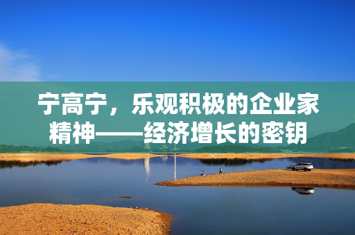 宁高宁，乐观积极的企业家精神——经济增长的密钥