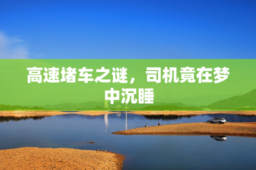 高速堵车之谜，司机竟在梦中沉睡
