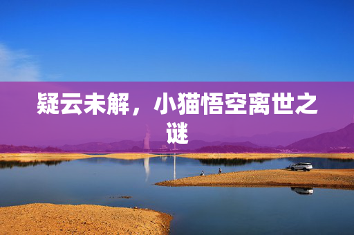 疑云未解，小猫悟空离世之谜