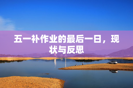 五一补作业的最后一日，现状与反思