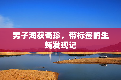 男子海获奇珍，带标签的生蚝发现记