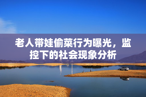 老人带娃偷菜行为曝光，监控下的社会现象分析