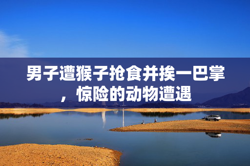 男子遭猴子抢食并挨一巴掌，惊险的动物遭遇