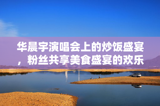 华晨宇演唱会上的炒饭盛宴，粉丝共享美食盛宴的欢乐时刻