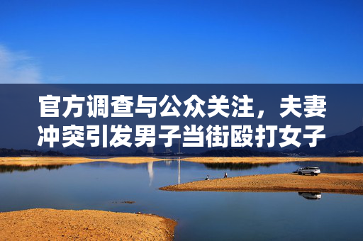 官方调查与公众关注，夫妻冲突引发男子当街殴打女子事件