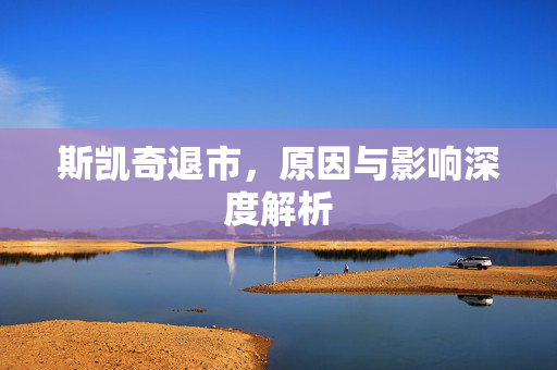 斯凯奇退市，原因与影响深度解析