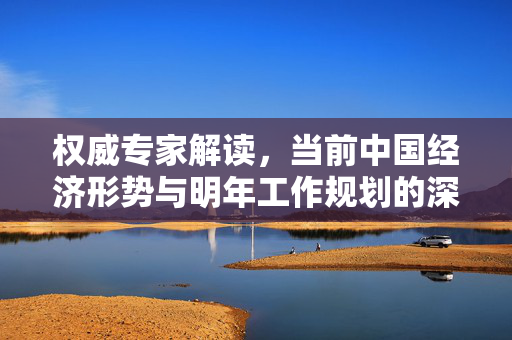 权威专家解读，当前中国经济形势与明年工作规划的深度解析