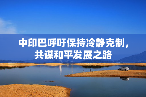中印巴呼吁保持冷静克制，共谋和平发展之路