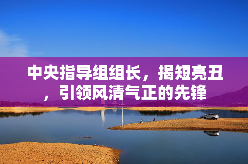中央指导组组长，揭短亮丑，引领风清气正的先锋