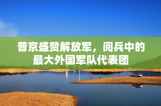 普京盛赞解放军，阅兵中的最大外国军队代表团