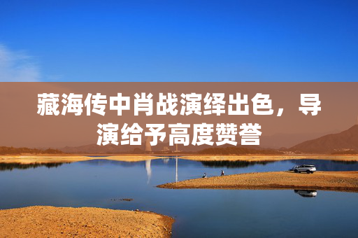 藏海传中肖战演绎出色，导演给予高度赞誉
