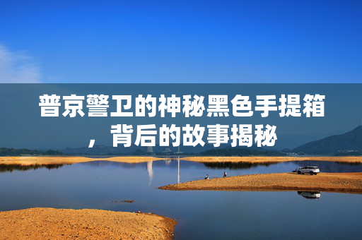 普京警卫的神秘黑色手提箱，背后的故事揭秘
