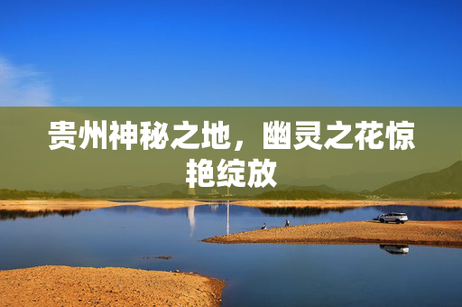 贵州神秘之地，幽灵之花惊艳绽放
