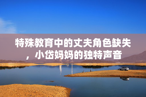 特殊教育中的丈夫角色缺失，小岱妈妈的独特声音