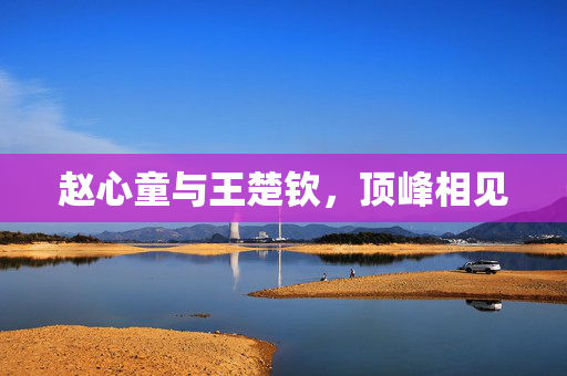 赵心童与王楚钦，顶峰相见