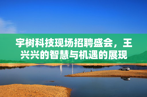 宇树科技现场招聘盛会，王兴兴的智慧与机遇的展现