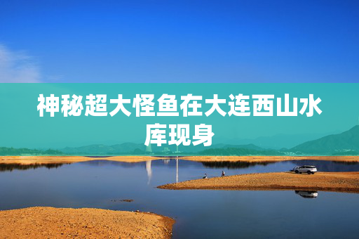 神秘超大怪鱼在大连西山水库现身