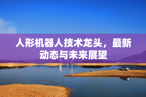 人形机器人技术龙头，最新动态与未来展望