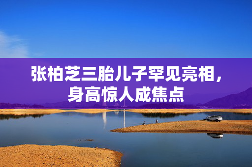 张柏芝三胎儿子罕见亮相，身高惊人成焦点