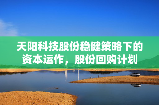天阳科技股份稳健策略下的资本运作，股份回购计划