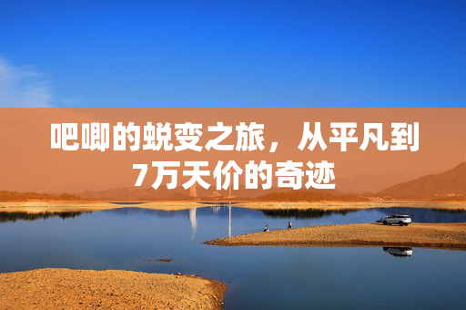 吧唧的蜕变之旅，从平凡到7万天价的奇迹
