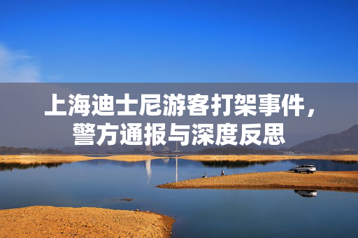 上海迪士尼游客打架事件，警方通报与深度反思