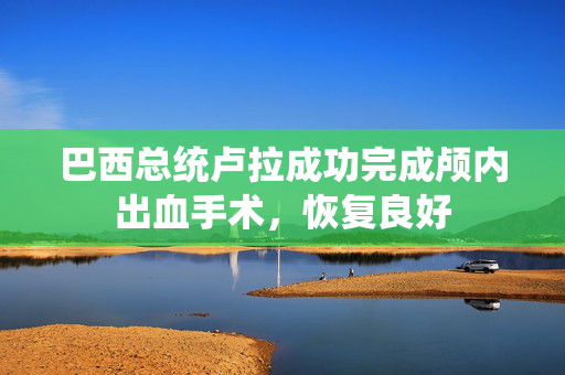 巴西总统卢拉成功完成颅内出血手术，恢复良好